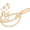 Fry